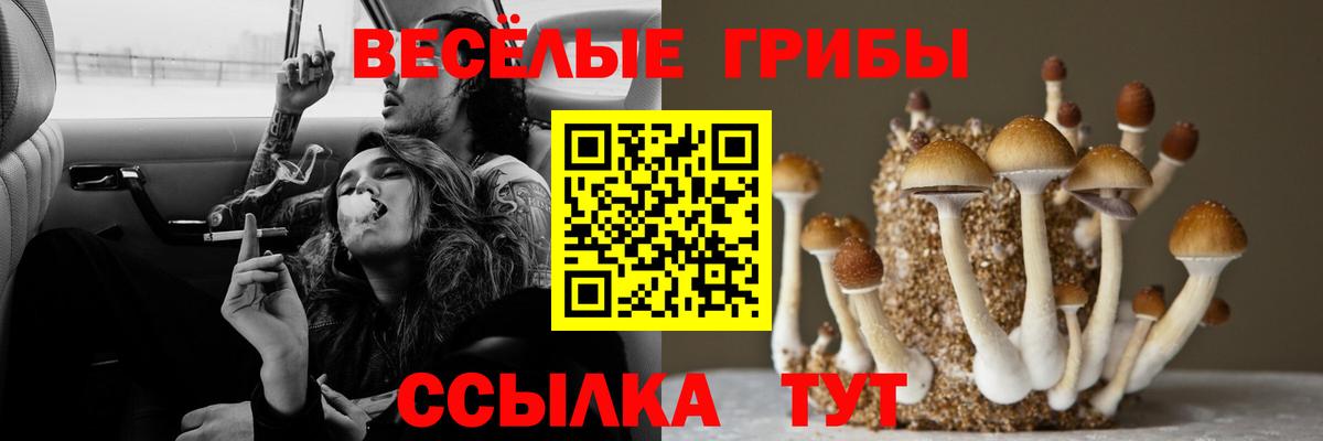 Галлюциногенные грибы GOLDEN TEACHER Кировск